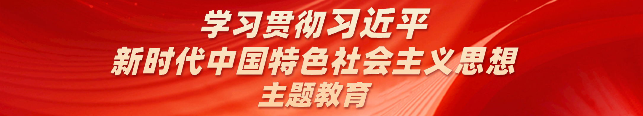 学习贯彻习近平新时代中国特色社会主义思想主题教育