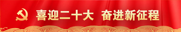 喜迎二十大